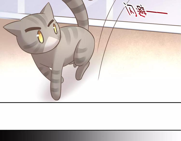 猫爪之下韩漫全集-第28话 迷之自信无删减无遮挡章节图片 
