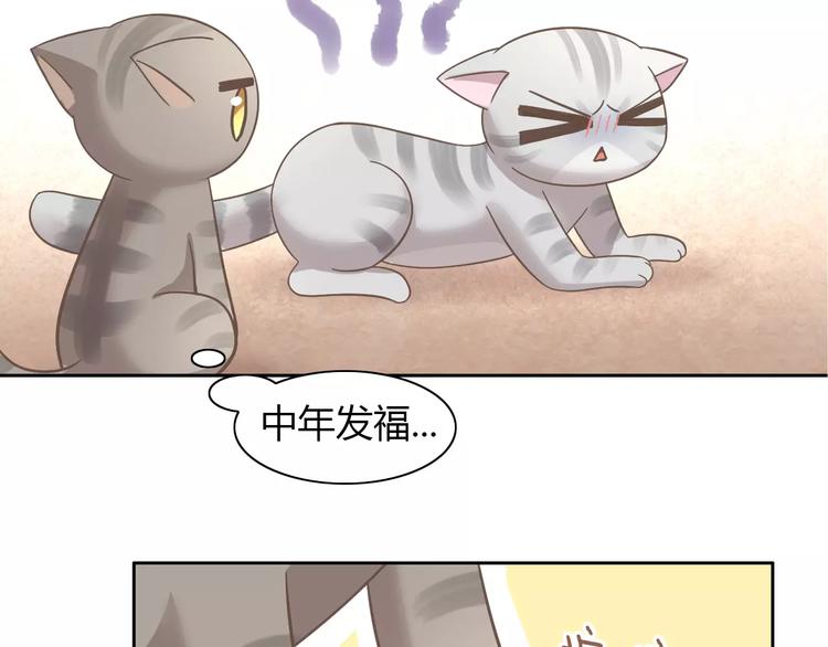 猫爪之下韩漫全集-第28话 迷之自信无删减无遮挡章节图片 
