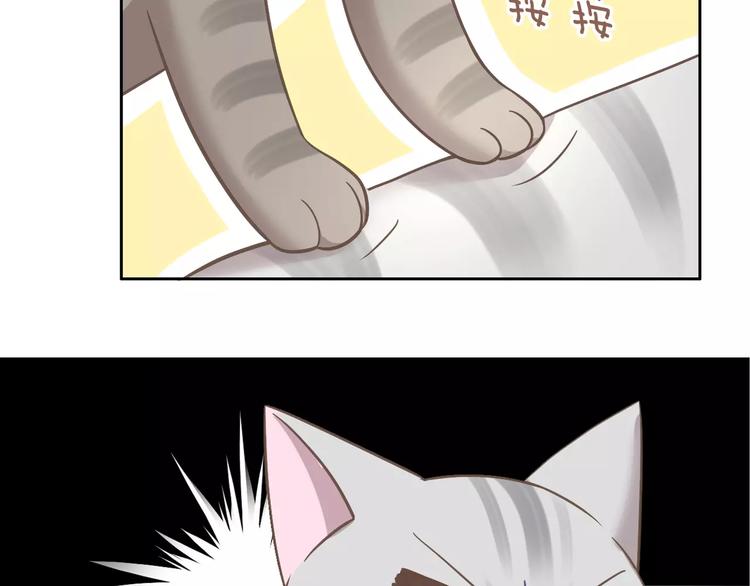猫爪之下韩漫全集-第28话 迷之自信无删减无遮挡章节图片 