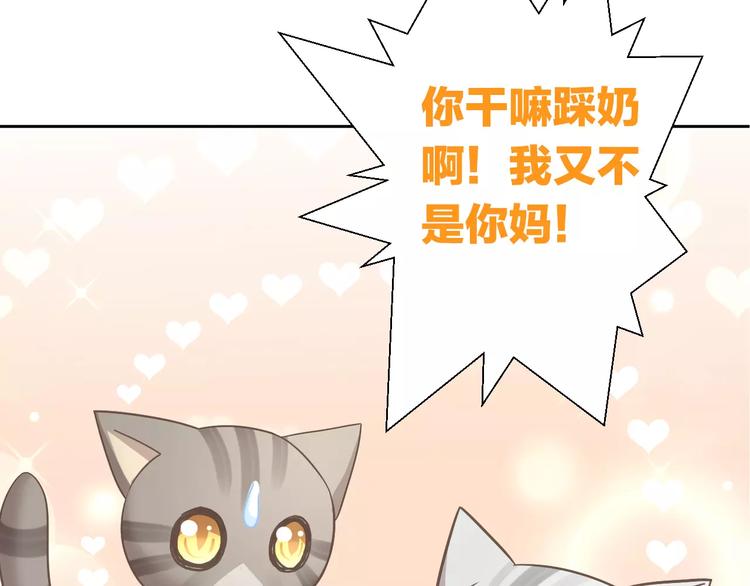 猫爪之下韩漫全集-第28话 迷之自信无删减无遮挡章节图片 