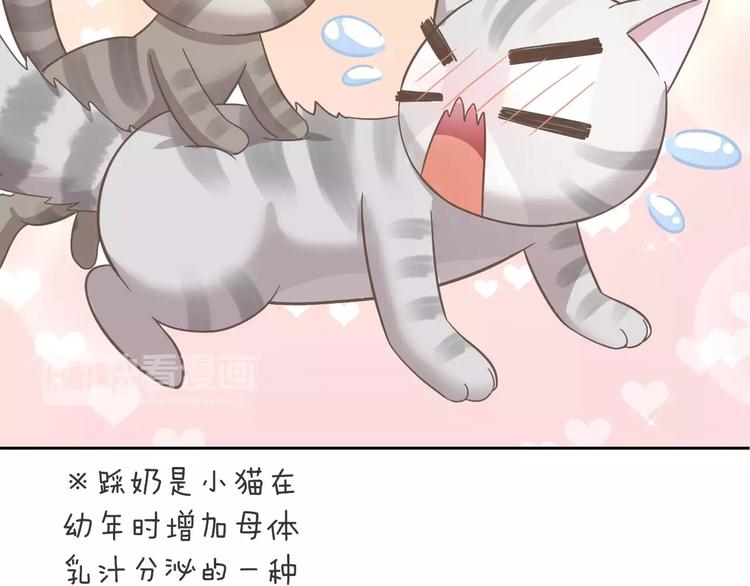 猫爪之下韩漫全集-第28话 迷之自信无删减无遮挡章节图片 