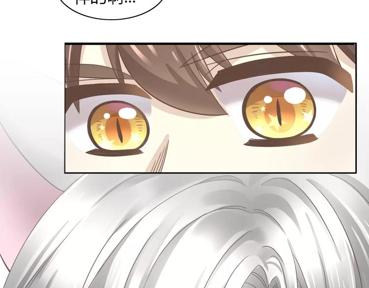 猫爪之下韩漫全集-第28话 迷之自信无删减无遮挡章节图片 