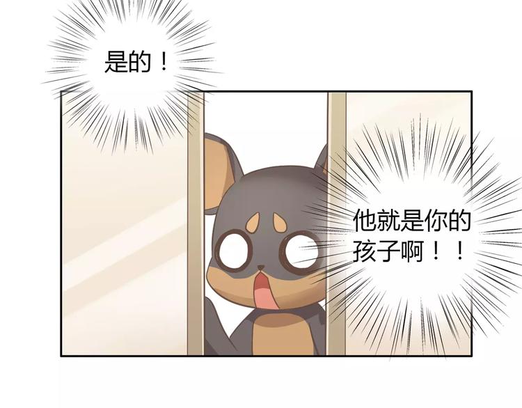 猫爪之下韩漫全集-第28话 迷之自信无删减无遮挡章节图片 