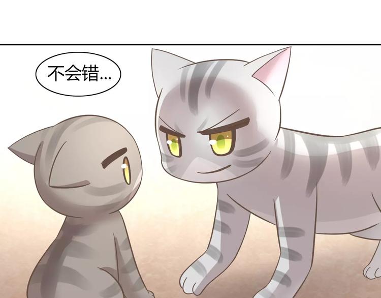 猫爪之下韩漫全集-第28话 迷之自信无删减无遮挡章节图片 