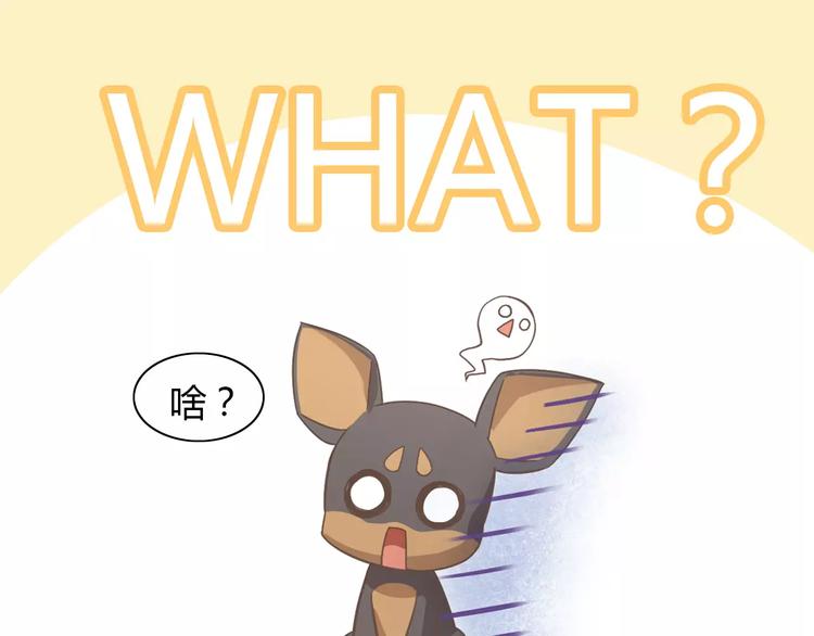 猫爪之下韩漫全集-第28话 迷之自信无删减无遮挡章节图片 