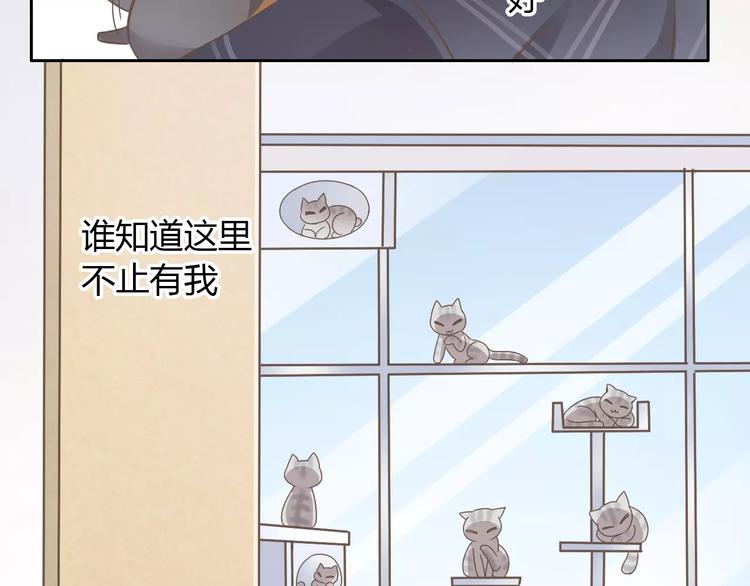 猫爪之下韩漫全集-第28话 迷之自信无删减无遮挡章节图片 