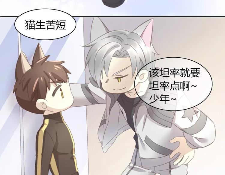 猫爪之下韩漫全集-第29话 花花身份被发现无删减无遮挡章节图片 
