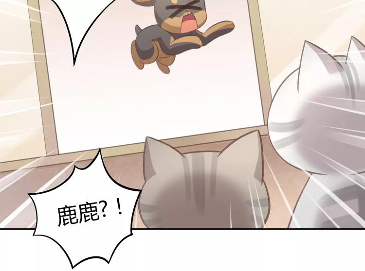 猫爪之下韩漫全集-第29话 花花身份被发现无删减无遮挡章节图片 