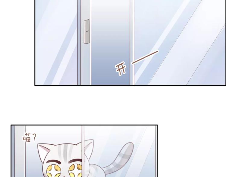 猫爪之下韩漫全集-第29话 花花身份被发现无删减无遮挡章节图片 