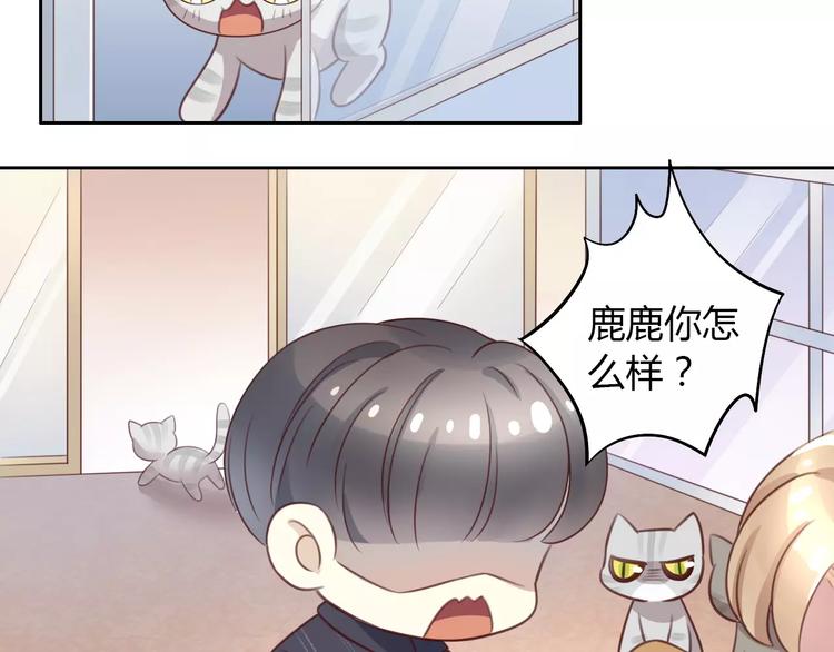 猫爪之下韩漫全集-第29话 花花身份被发现无删减无遮挡章节图片 