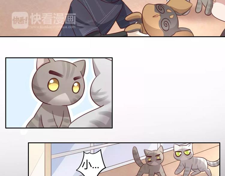猫爪之下韩漫全集-第29话 花花身份被发现无删减无遮挡章节图片 