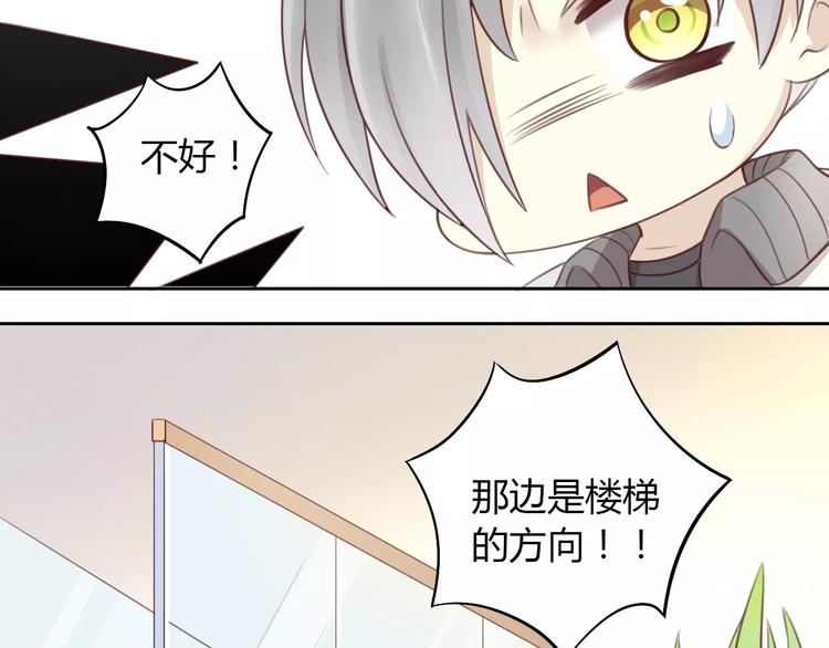 猫爪之下韩漫全集-第29话 花花身份被发现无删减无遮挡章节图片 