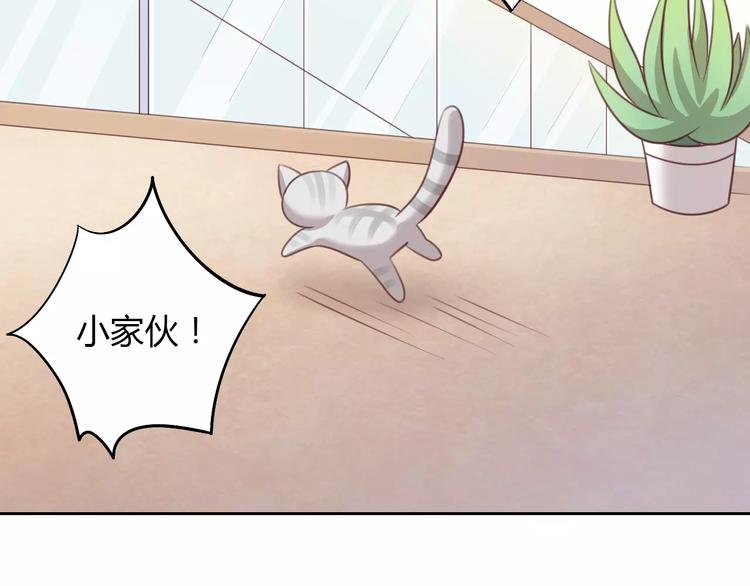 猫爪之下韩漫全集-第29话 花花身份被发现无删减无遮挡章节图片 