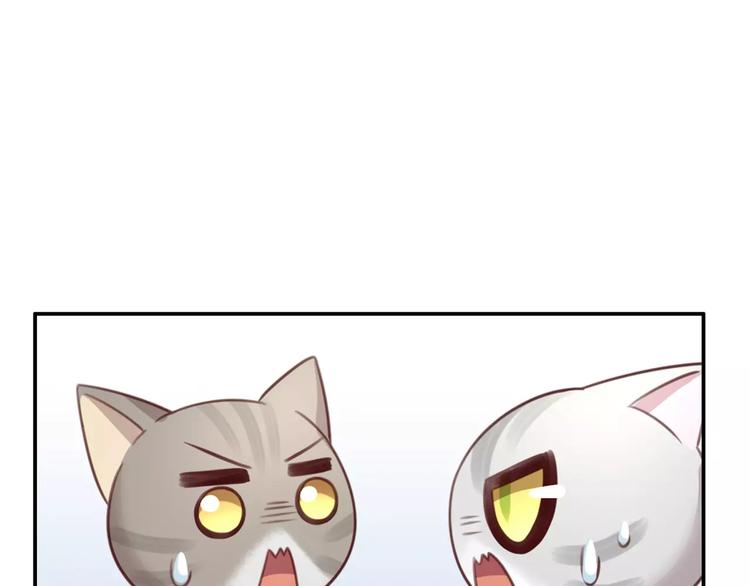 猫爪之下韩漫全集-第29话 花花身份被发现无删减无遮挡章节图片 