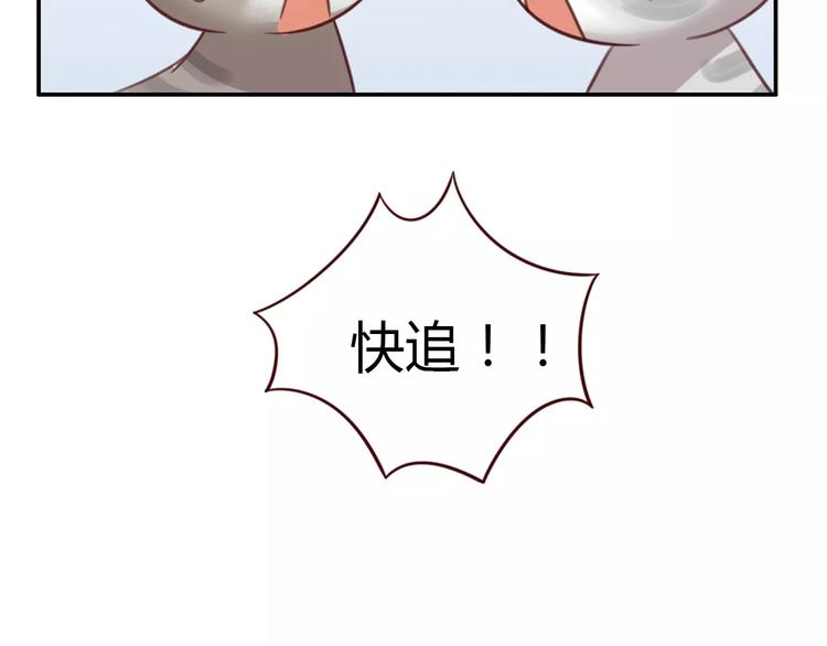 猫爪之下韩漫全集-第29话 花花身份被发现无删减无遮挡章节图片 