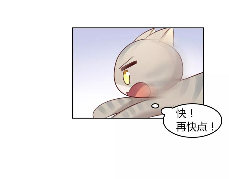 猫爪之下韩漫全集-第29话 花花身份被发现无删减无遮挡章节图片 