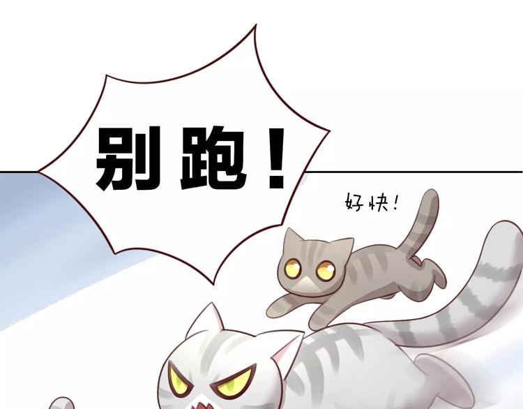 猫爪之下韩漫全集-第29话 花花身份被发现无删减无遮挡章节图片 