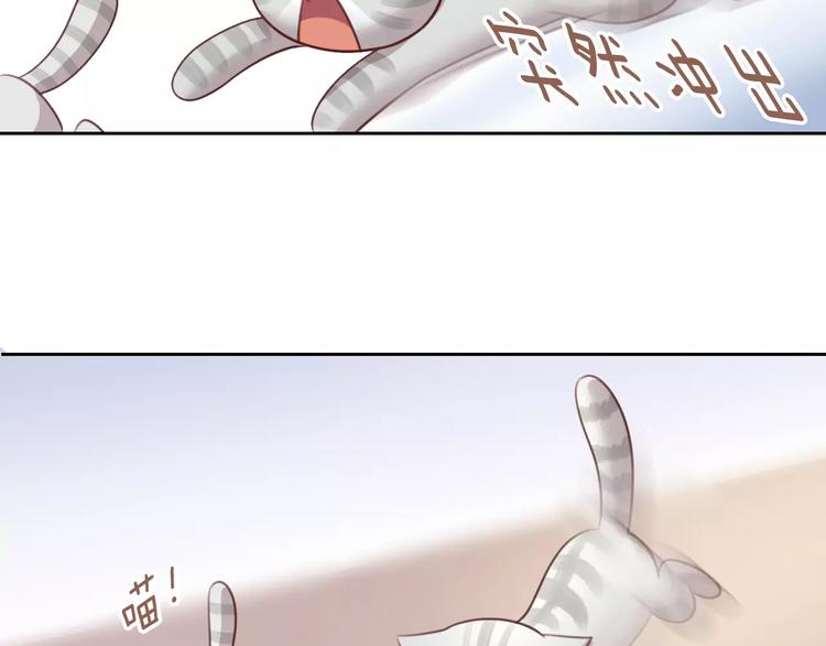 猫爪之下韩漫全集-第29话 花花身份被发现无删减无遮挡章节图片 