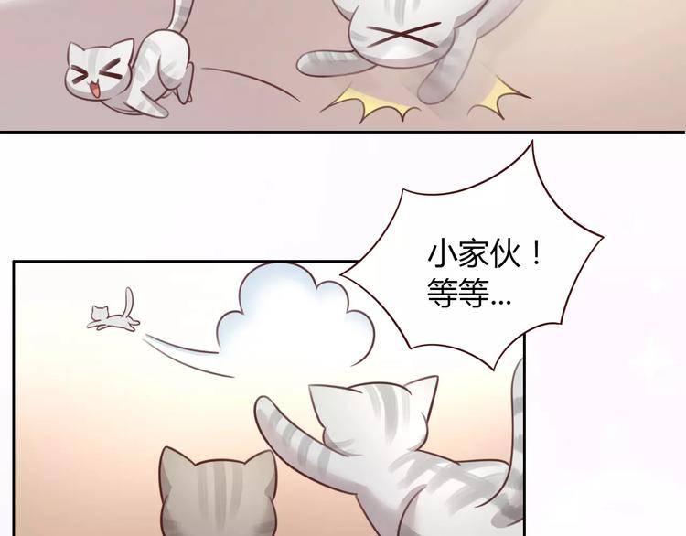 猫爪之下韩漫全集-第29话 花花身份被发现无删减无遮挡章节图片 