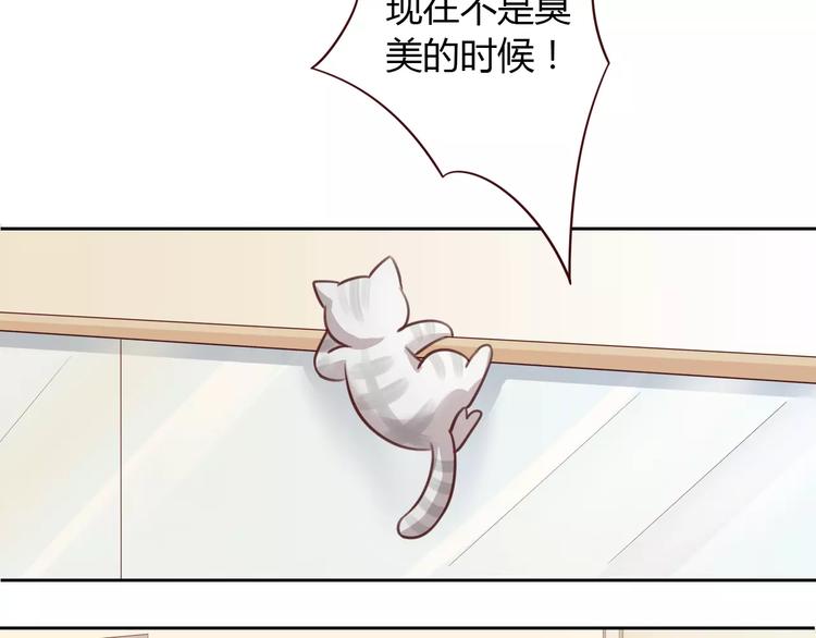 猫爪之下韩漫全集-第29话 花花身份被发现无删减无遮挡章节图片 