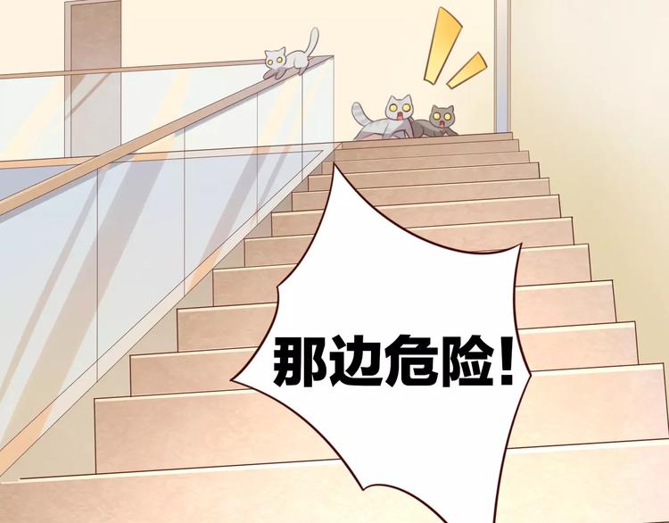 猫爪之下韩漫全集-第29话 花花身份被发现无删减无遮挡章节图片 