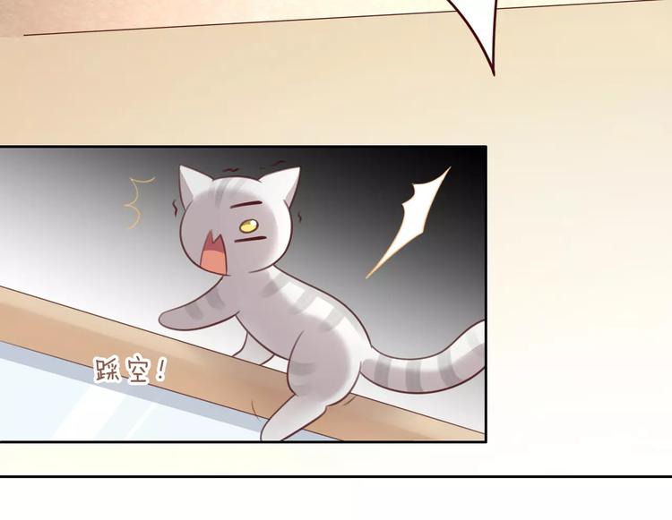 猫爪之下韩漫全集-第29话 花花身份被发现无删减无遮挡章节图片 