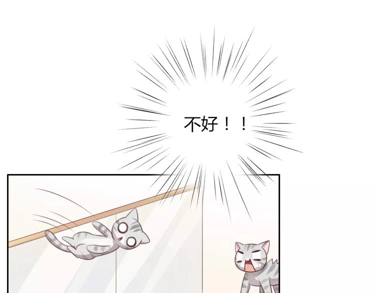 猫爪之下韩漫全集-第29话 花花身份被发现无删减无遮挡章节图片 