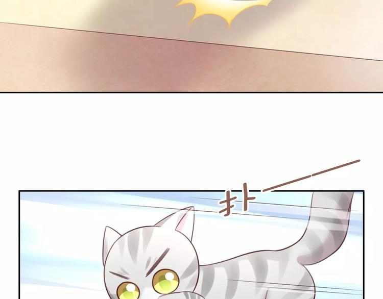 猫爪之下韩漫全集-第29话 花花身份被发现无删减无遮挡章节图片 