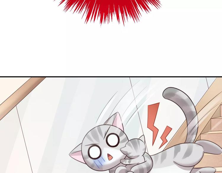 猫爪之下韩漫全集-第29话 花花身份被发现无删减无遮挡章节图片 