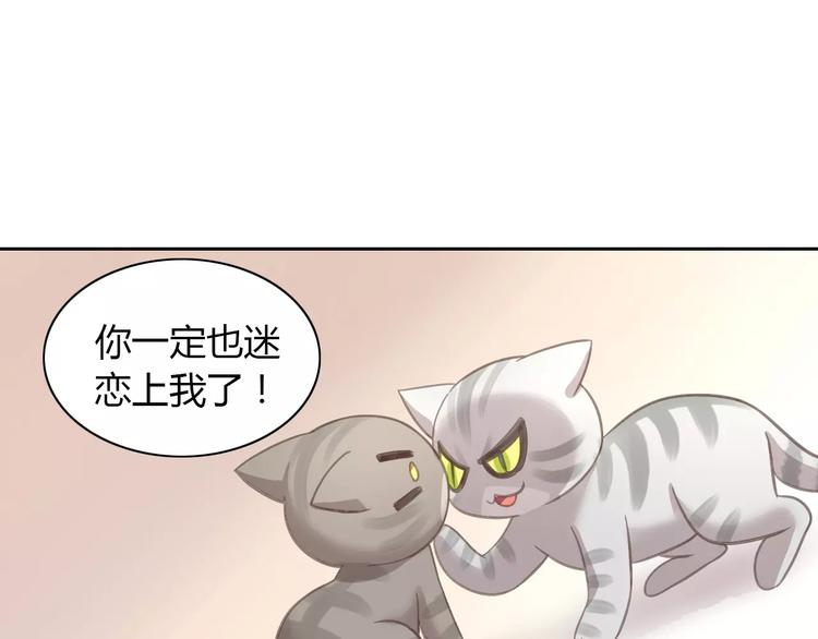猫爪之下韩漫全集-第29话 花花身份被发现无删减无遮挡章节图片 