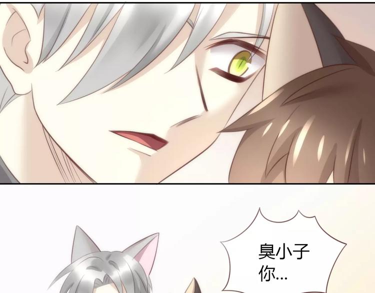 猫爪之下韩漫全集-第29话 花花身份被发现无删减无遮挡章节图片 
