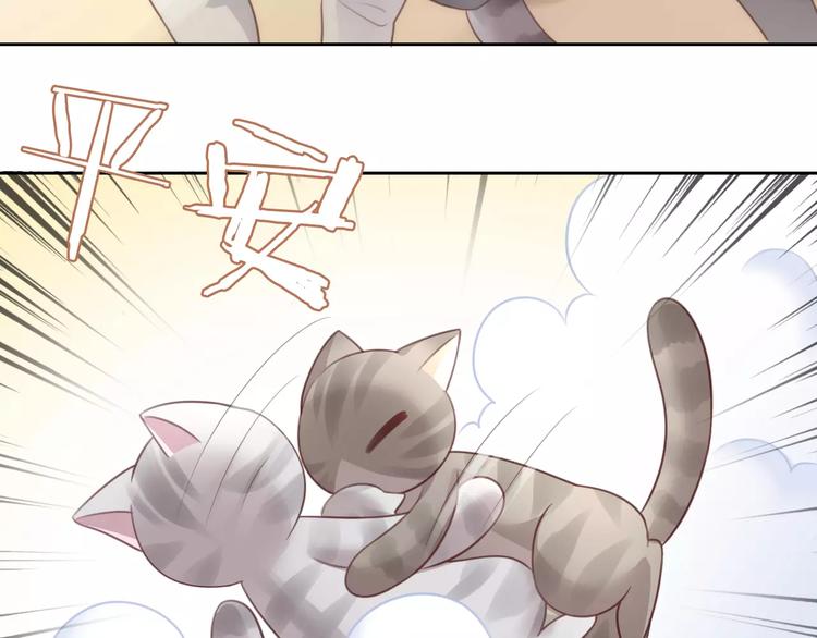 猫爪之下韩漫全集-第29话 花花身份被发现无删减无遮挡章节图片 