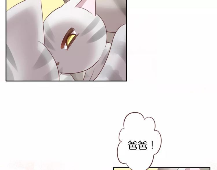 猫爪之下韩漫全集-第29话 花花身份被发现无删减无遮挡章节图片 