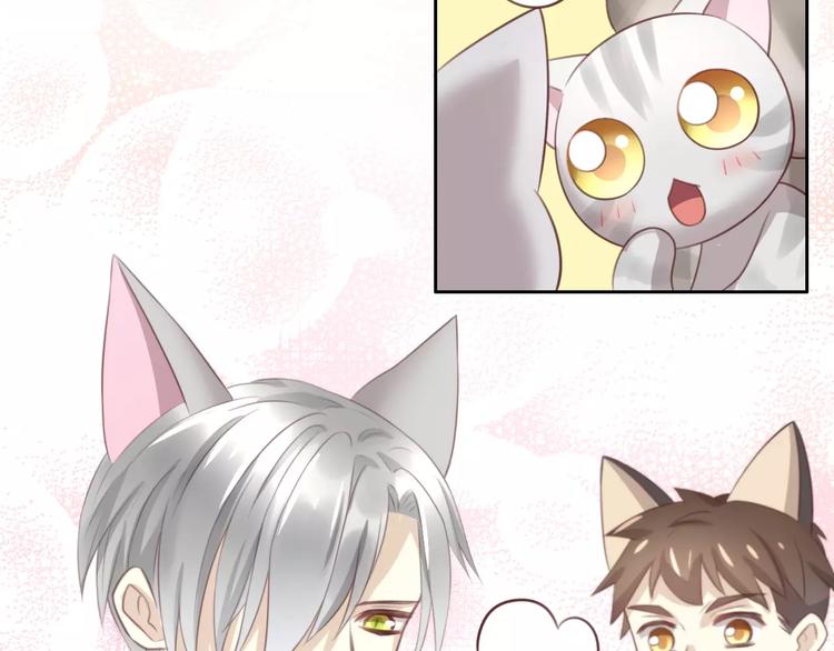猫爪之下韩漫全集-第29话 花花身份被发现无删减无遮挡章节图片 