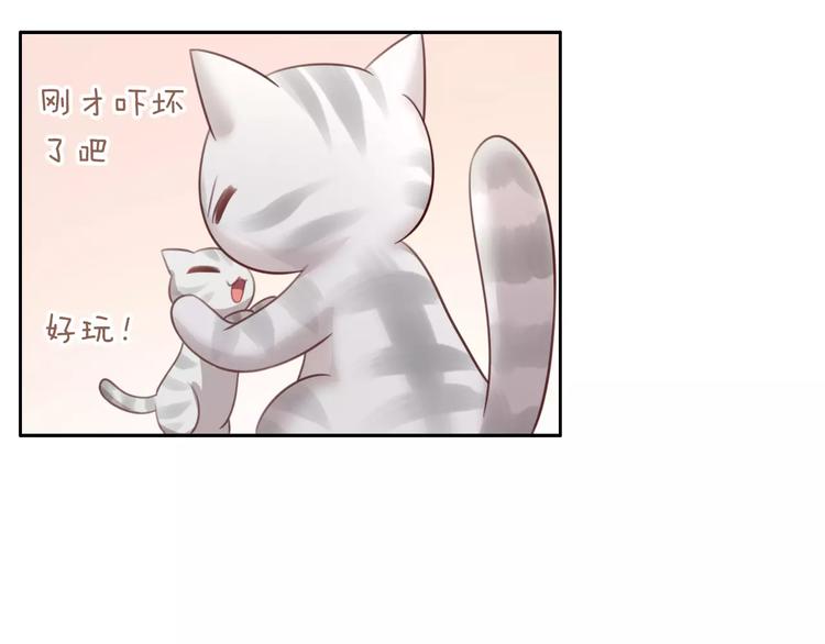 猫爪之下韩漫全集-第29话 花花身份被发现无删减无遮挡章节图片 