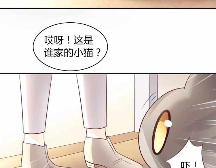 猫爪之下韩漫全集-第29话 花花身份被发现无删减无遮挡章节图片 