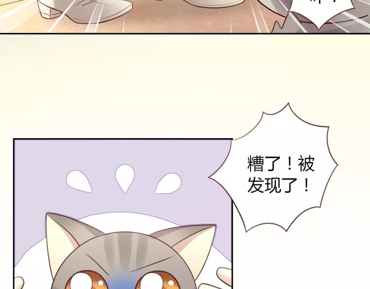 猫爪之下韩漫全集-第29话 花花身份被发现无删减无遮挡章节图片 