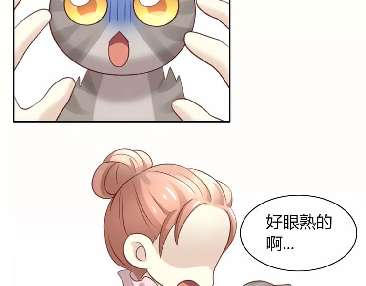 猫爪之下韩漫全集-第29话 花花身份被发现无删减无遮挡章节图片 