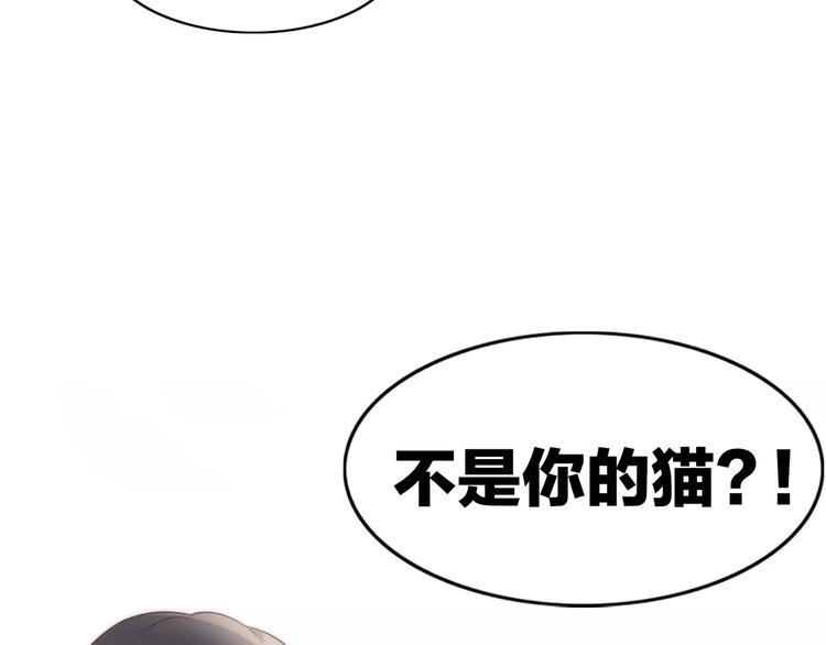 猫爪之下韩漫全集-第29话 花花身份被发现无删减无遮挡章节图片 