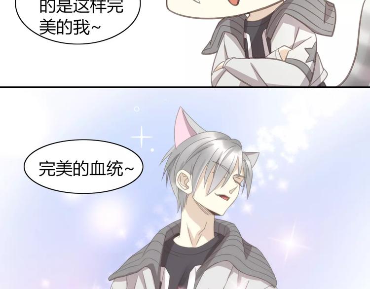 猫爪之下韩漫全集-第29话 花花身份被发现无删减无遮挡章节图片 