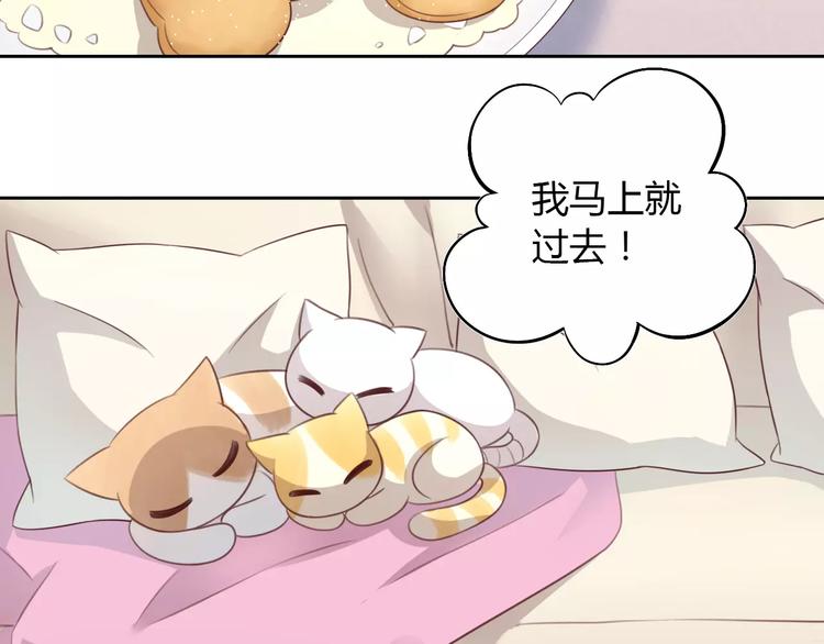 猫爪之下韩漫全集-第30话 即将团聚无删减无遮挡章节图片 