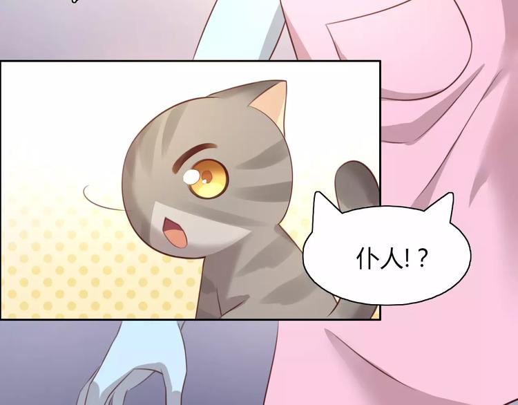 猫爪之下韩漫全集-第30话 即将团聚无删减无遮挡章节图片 