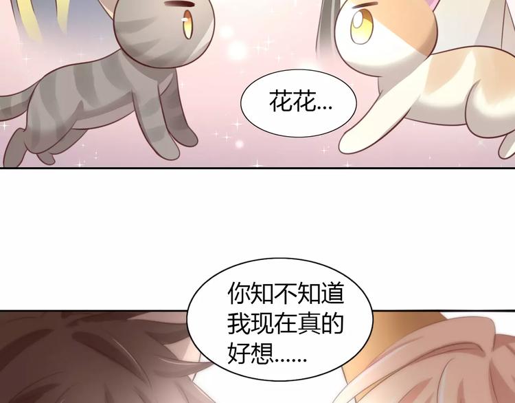 猫爪之下韩漫全集-第30话 即将团聚无删减无遮挡章节图片 