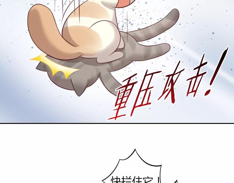 猫爪之下韩漫全集-第30话 即将团聚无删减无遮挡章节图片 