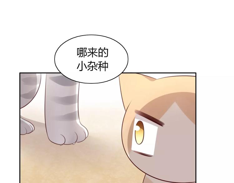 猫爪之下韩漫全集-第30话 即将团聚无删减无遮挡章节图片 