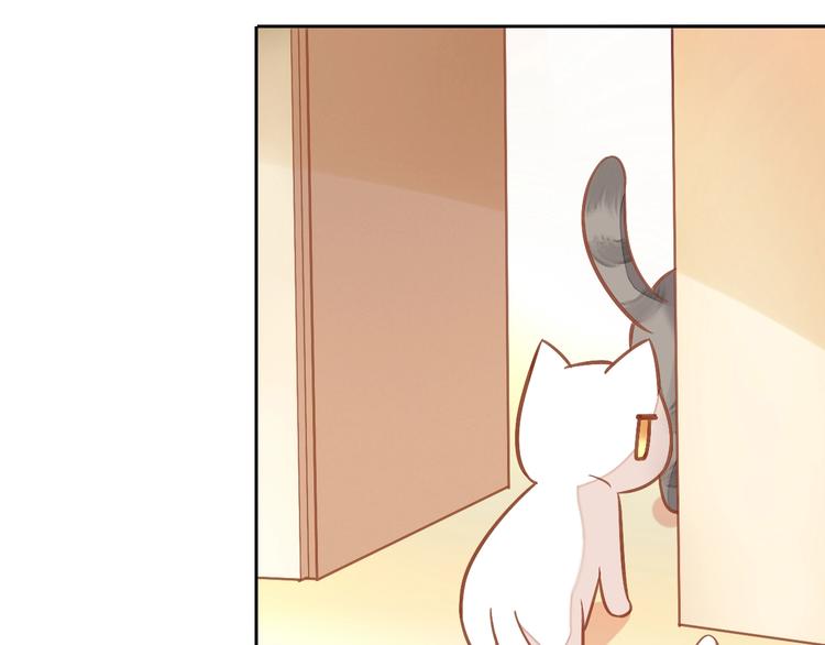 猫爪之下韩漫全集-第4话  恐怖游戏无删减无遮挡章节图片 