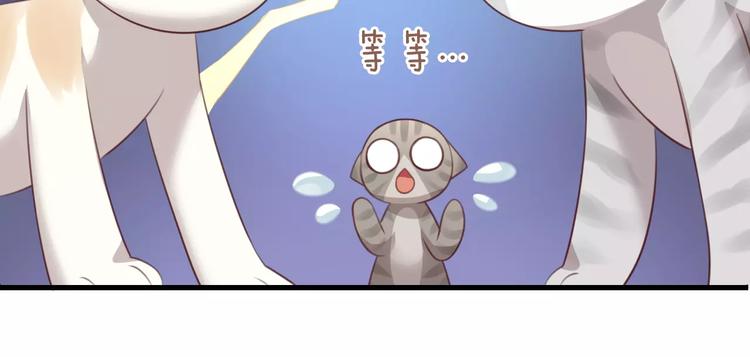 猫爪之下韩漫全集-第31话 再见啦疾风无删减无遮挡章节图片 