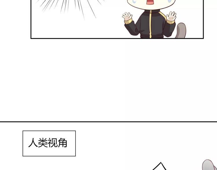 猫爪之下韩漫全集-第31话 再见啦疾风无删减无遮挡章节图片 