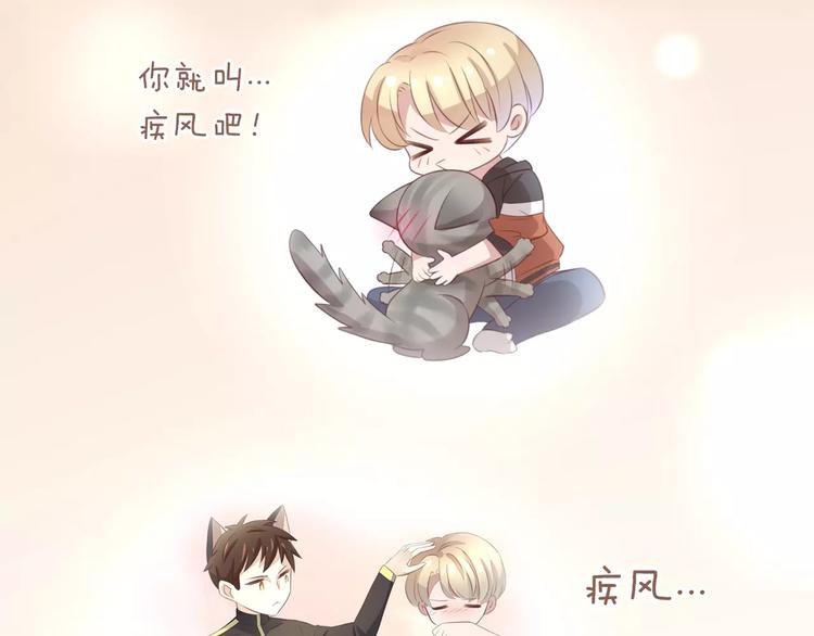 猫爪之下韩漫全集-第31话 再见啦疾风无删减无遮挡章节图片 