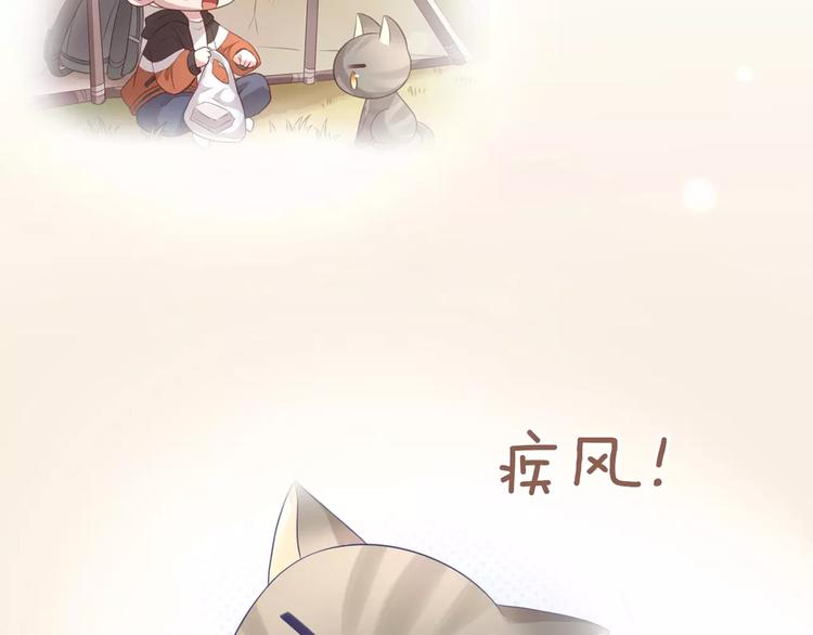 猫爪之下韩漫全集-第31话 再见啦疾风无删减无遮挡章节图片 